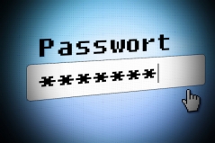 Bild 1: Passwort Eingabe