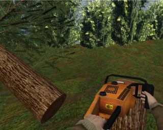 Cutting trees in VR. Picture from Virtual Human Interaction Lab (Stanford University)