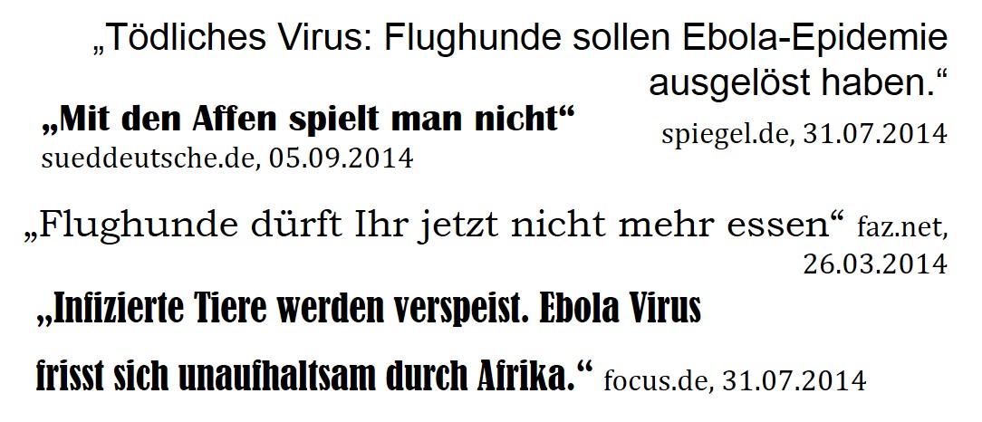 Abbildung 2: Beispiele für Überschriften zur Berichterstattung zum Ebola Ausbruch 2014 in populären deutschen Nachrichtenseiten. Selbst erstellt.