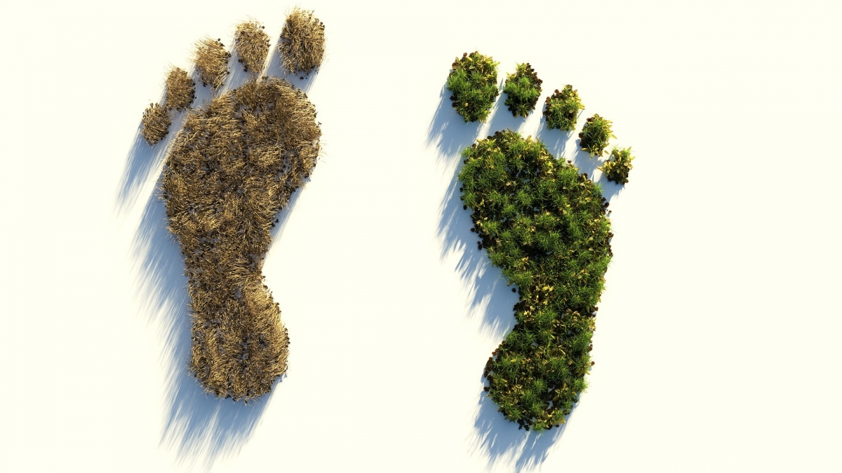 Umweltfreundlich oder nicht? Unser ökologische Fußabdruck.