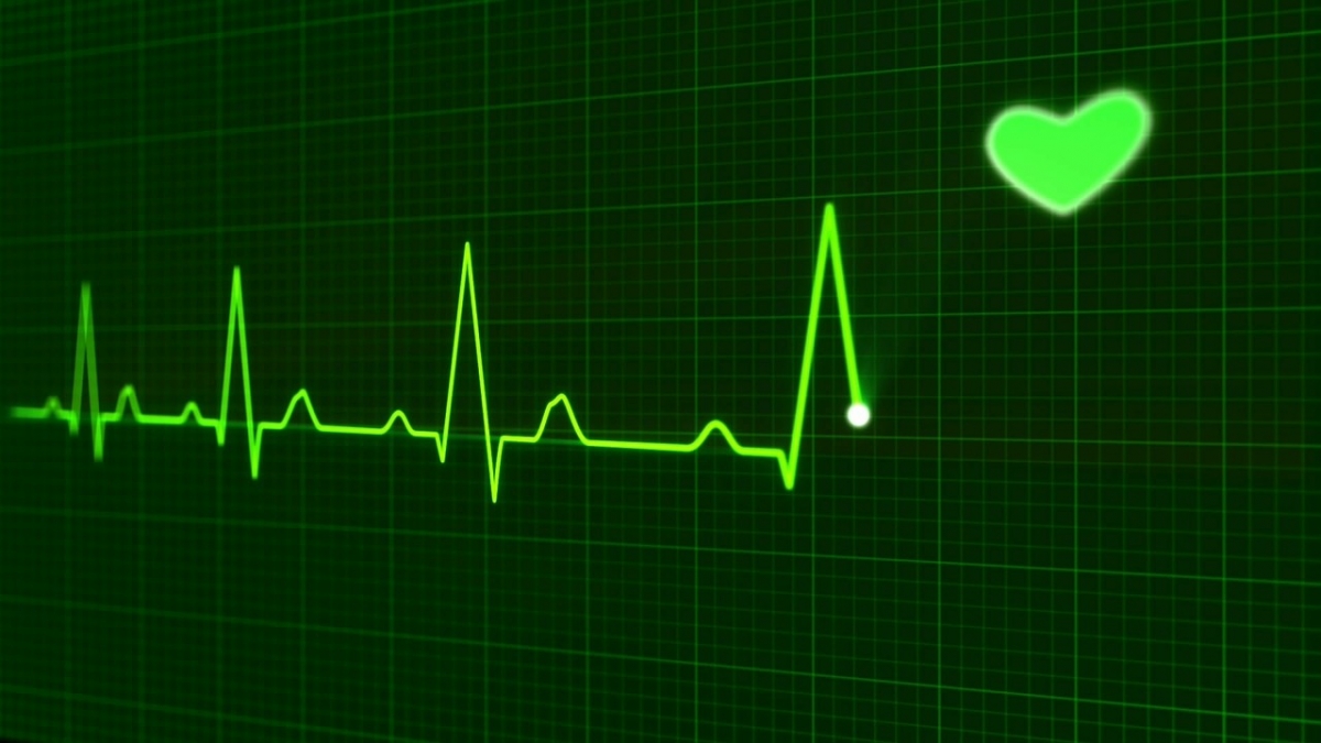 Das Herzschlag-Zählen ist eine oft verwendete Aufgabe, um Innenwahrnehmung zu untersuchen. Bild: PublicDomainPictures via pixabay (https://pixabay.com/de/herzschlag-puls-gesundheitswesen-163709/, CC: https://creativecommons.org/publicdomain/zero/1.0/deed.de)