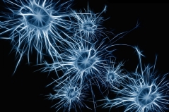 Helle Nervenzellen vor dunklem Hintergrund