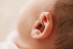 baby ear