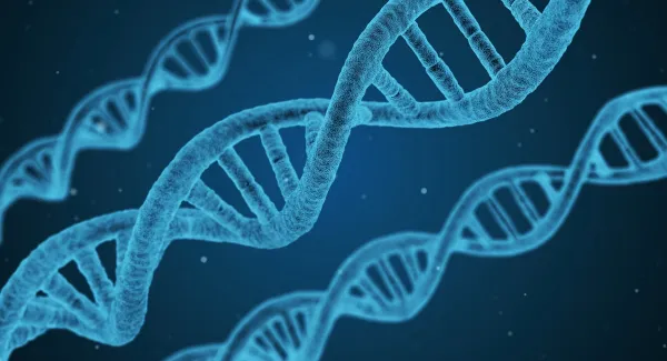 Die Gene sind nicht alles – Was wir gegen Alzheimer tun können