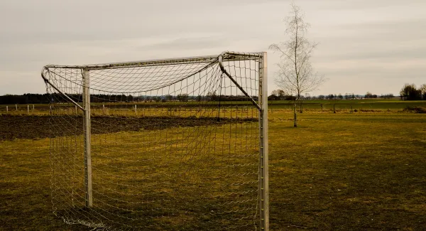 Das In-Mind WM-Special: Von links nach rechts- die Wahrnehmung eines Tores im Fußball als besonders ästhetisch