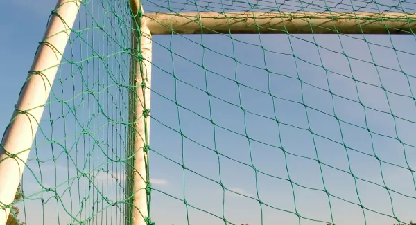 Das Phantomtor von Hoffenheim – warum Fußball für unsere Wahrnehmung zu kompliziert ist 