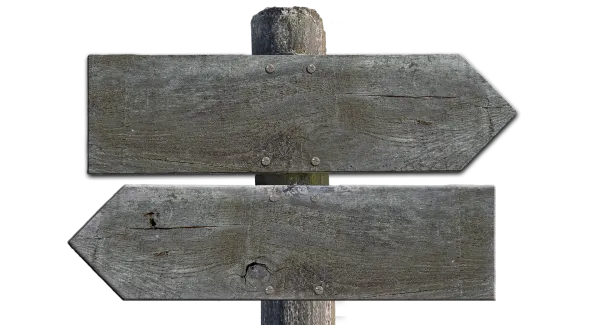 Rechts oder links? Wie Gene unsere politische Orientierung beeinflussen