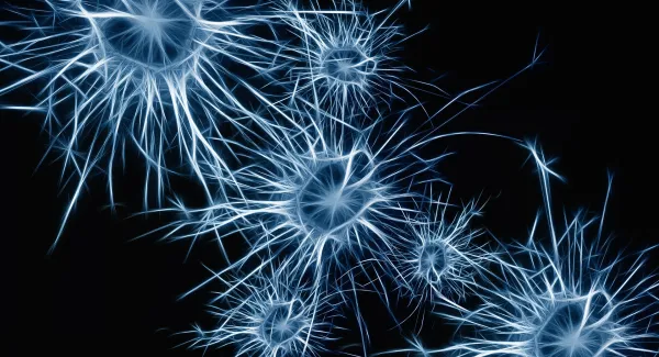 Spiegelneurone: Was ist dran am menschlichen Wunderwerkzeug?