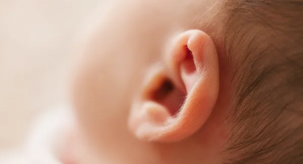 Ich kann dich nicht hören – aber dafür deinem Blick folgen! 