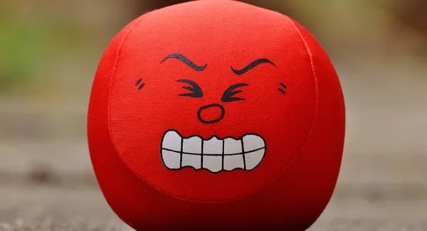 "Beat the Prof" Quiz: Worauf sind die Deutschen besonders neidisch?