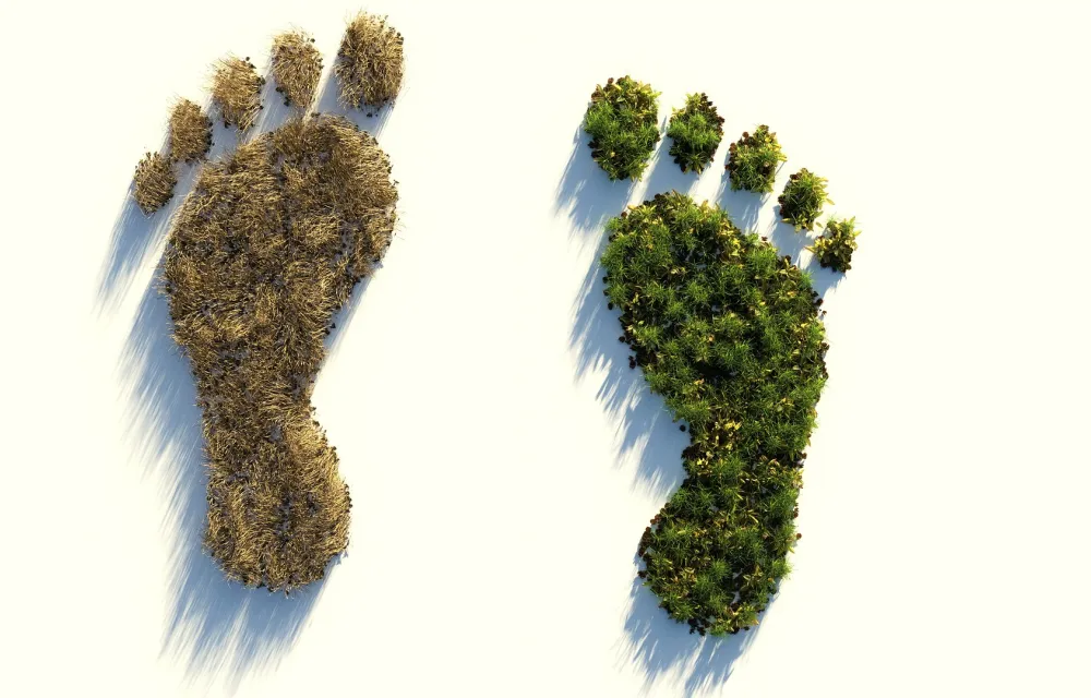 Wie viel ist ein Kilogramm CO2? Wie psychologisch fundierte Kommunikation unser Verständnis von Umweltauswirkungen verbessern kann