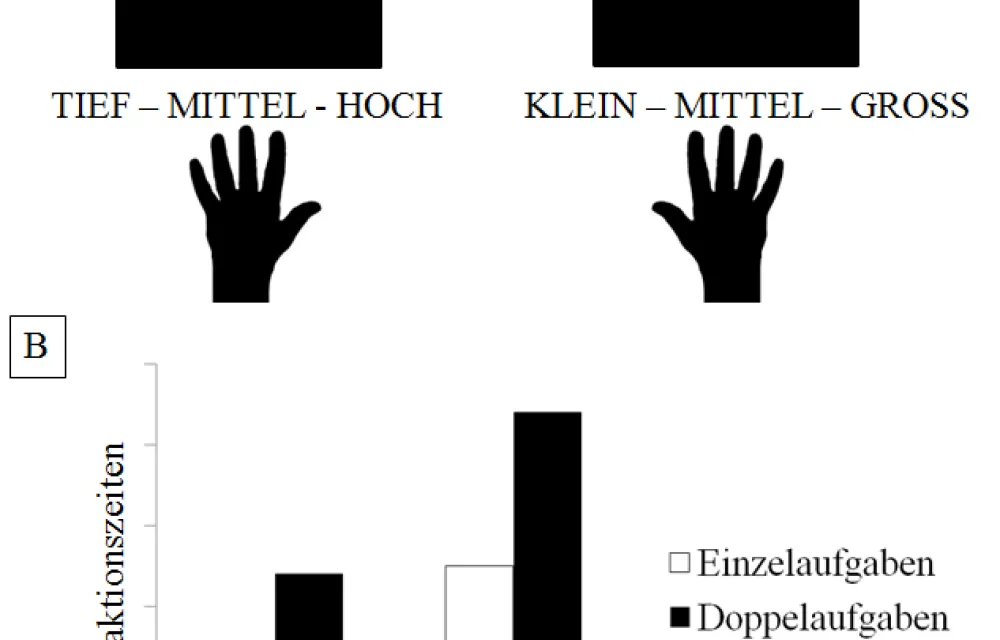 Erfahrung in Actionvideospielen und Effekte auf exekutive Funktionen