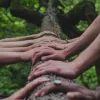 Editorial zur zweiten Themenausgabe: "Mind the Gap: Psychologie der Klimakrise"  