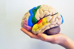Editorial: Was unser Gehirn alles kann! Spannende Effekte aus der Psychologie erklärt für Kinder ab 10 Jahren