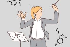 Zusammenspiel im Belohnungssystem – Das Orchester der vier Glückshormone 