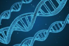 Die Gene sind nicht alles – Was wir gegen Alzheimer tun können