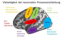 Das Gehirn kann nicht abschalten! Was tun?