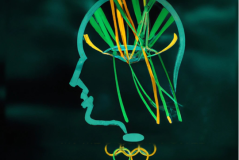 “Olympic-Mind”: Die Psychologie sportlicher Höchstleistung –  Eine Internationale Sonderausgabe