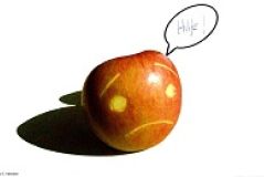 Wer muss in den sauren Apfel beißen? Die heimlichen Determinanten moralischer Entscheidungen.