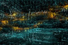 Die Media Equation – oder Wieso wir den Ticketautomaten anfluchen und unser Auto verhätscheln