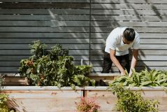 Ein Spiegelbild des Selbst: Was Dein Garten über Dich aussagt