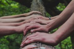 Editorial zur zweiten Themenausgabe: "Mind the Gap: Psychologie der Klimakrise"  