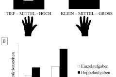 Erfahrung in Actionvideospielen und Effekte auf exekutive Funktionen