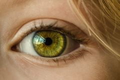 Verbreitete Gerichtssaal-Mythen über das Gedächtnis von Augenzeugen