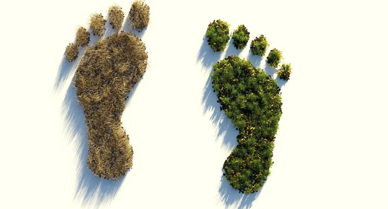 Wie viel ist ein Kilogramm CO2? Wie psychologisch fundierte Kommunikation unser Verständnis von Umweltauswirkungen verbessern kann