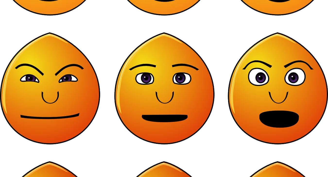 Editorial zur Themenausgabe: „Emotionen erleben und begreifen – Emotionspsychologie im Alltag“