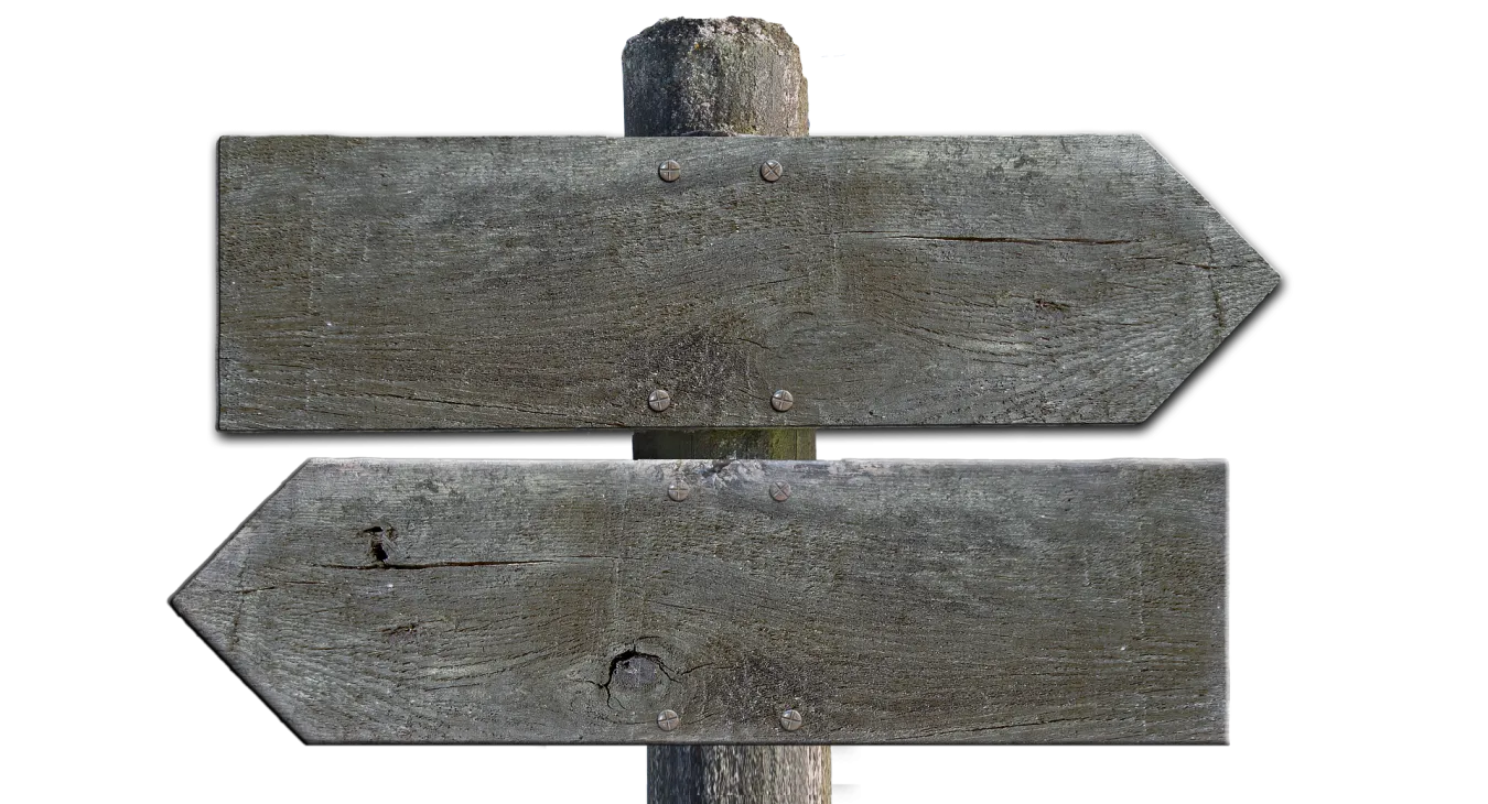 Rechts oder links? Wie Gene unsere politische Orientierung beeinflussen