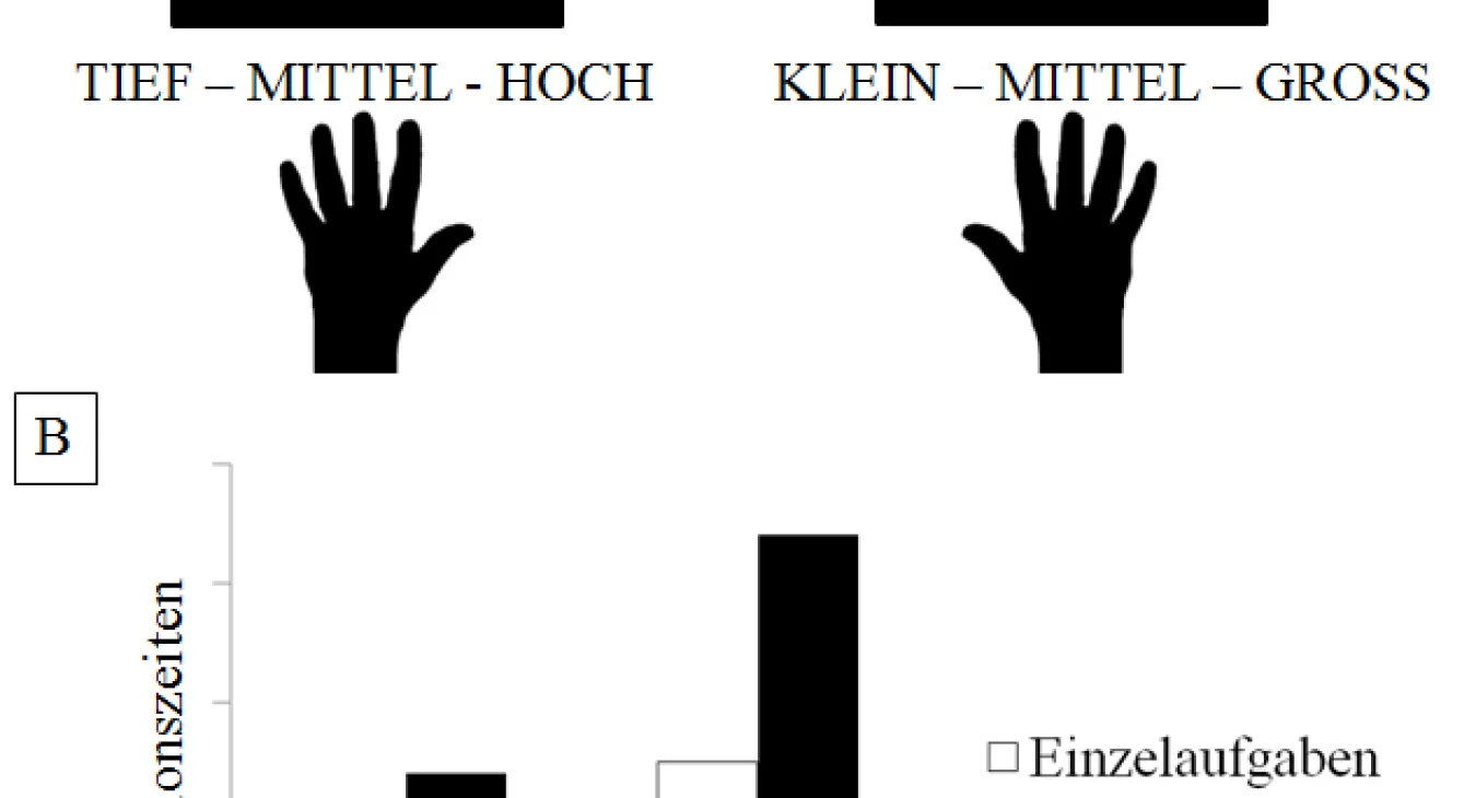 Erfahrung in Actionvideospielen und Effekte auf exekutive Funktionen