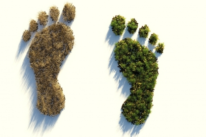 Umweltfreundlich oder nicht? Unser ökologische Fußabdruck. Quelle: ColiN00B via pixabay (https://pixabay.com/illustrations/ecological-footprint-4123696/, Lizenz: https://pixabay.com/de/service/license/).